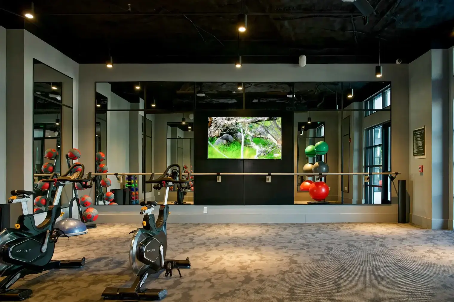 emmajames 03 1 le upscale strong light ai 40 tone enhance 30 color enhance 30