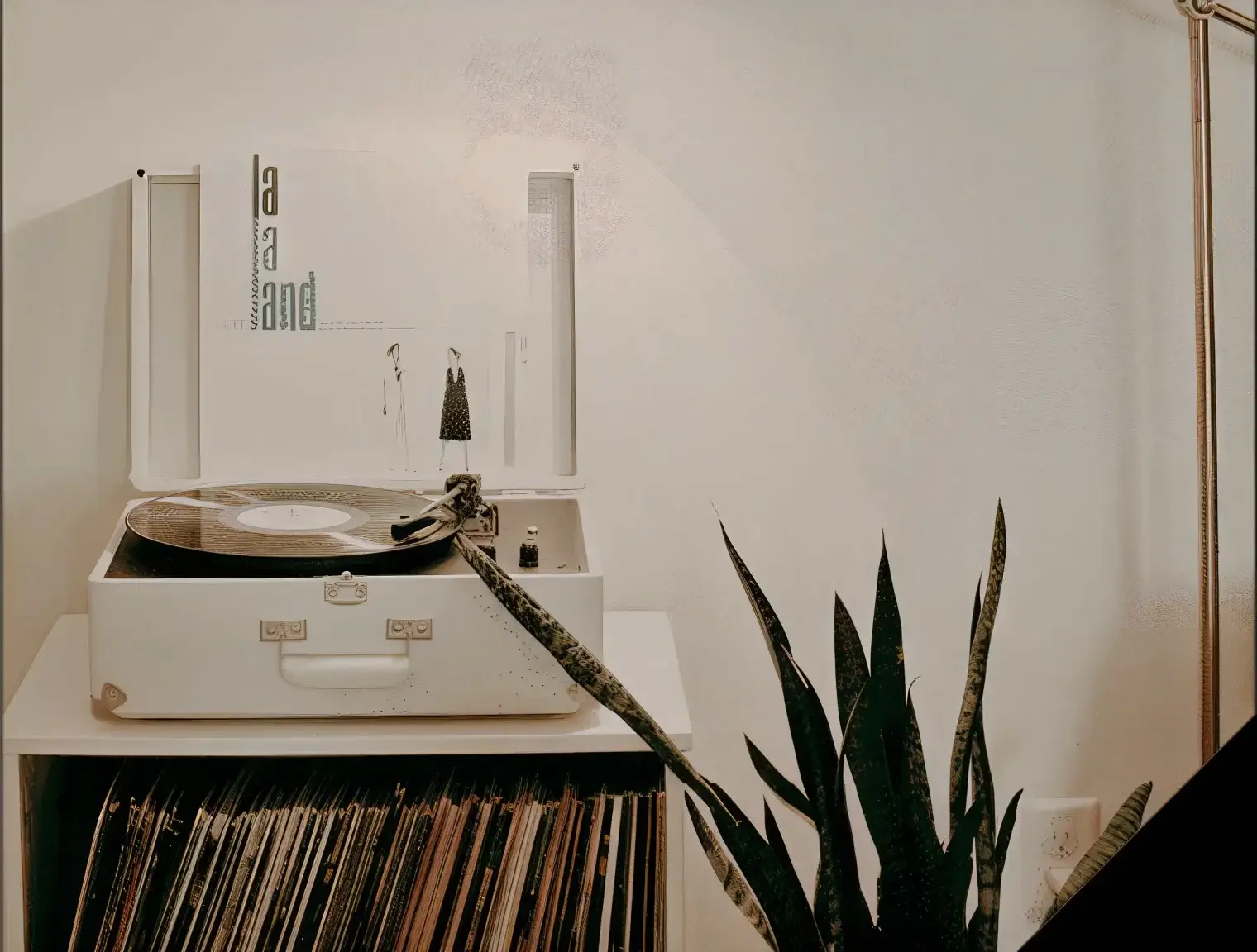 emmajames interior savannah ga 4 e1691088692600 le upscale strong light ai 40 tone enhance 30 color enhance 30