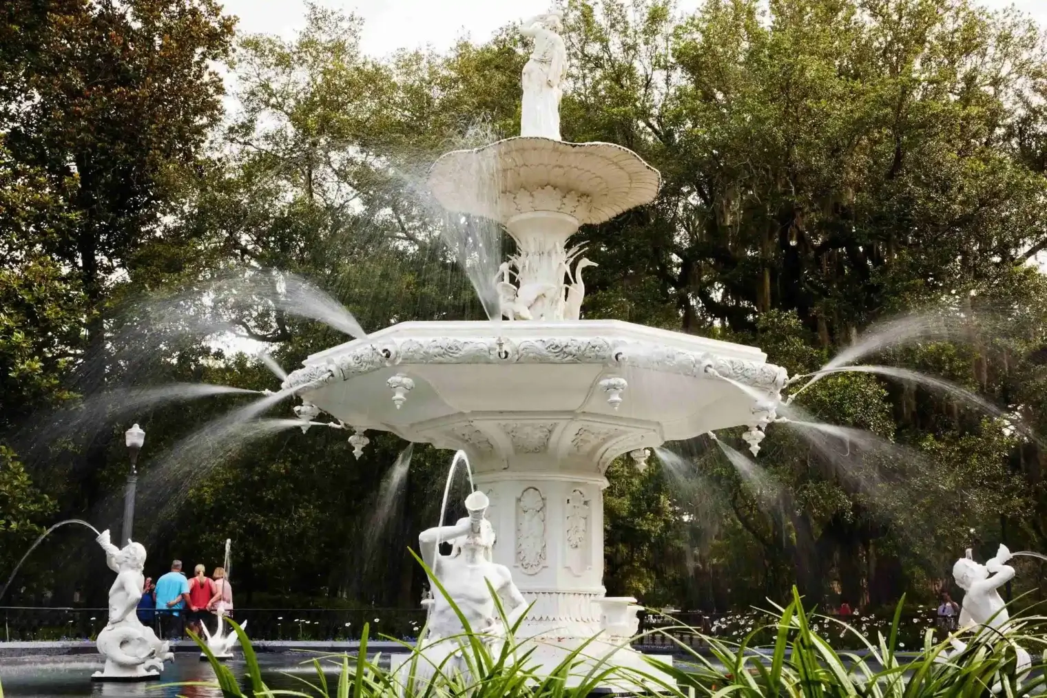 plp savannah lifestyle 005 scaled 1