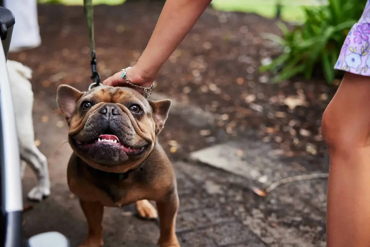 plp savannah lifestyle 019 scaled 1