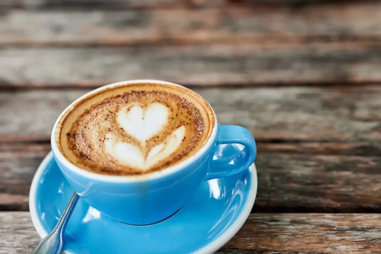 plp savannah lifestyle 024 scaled 1