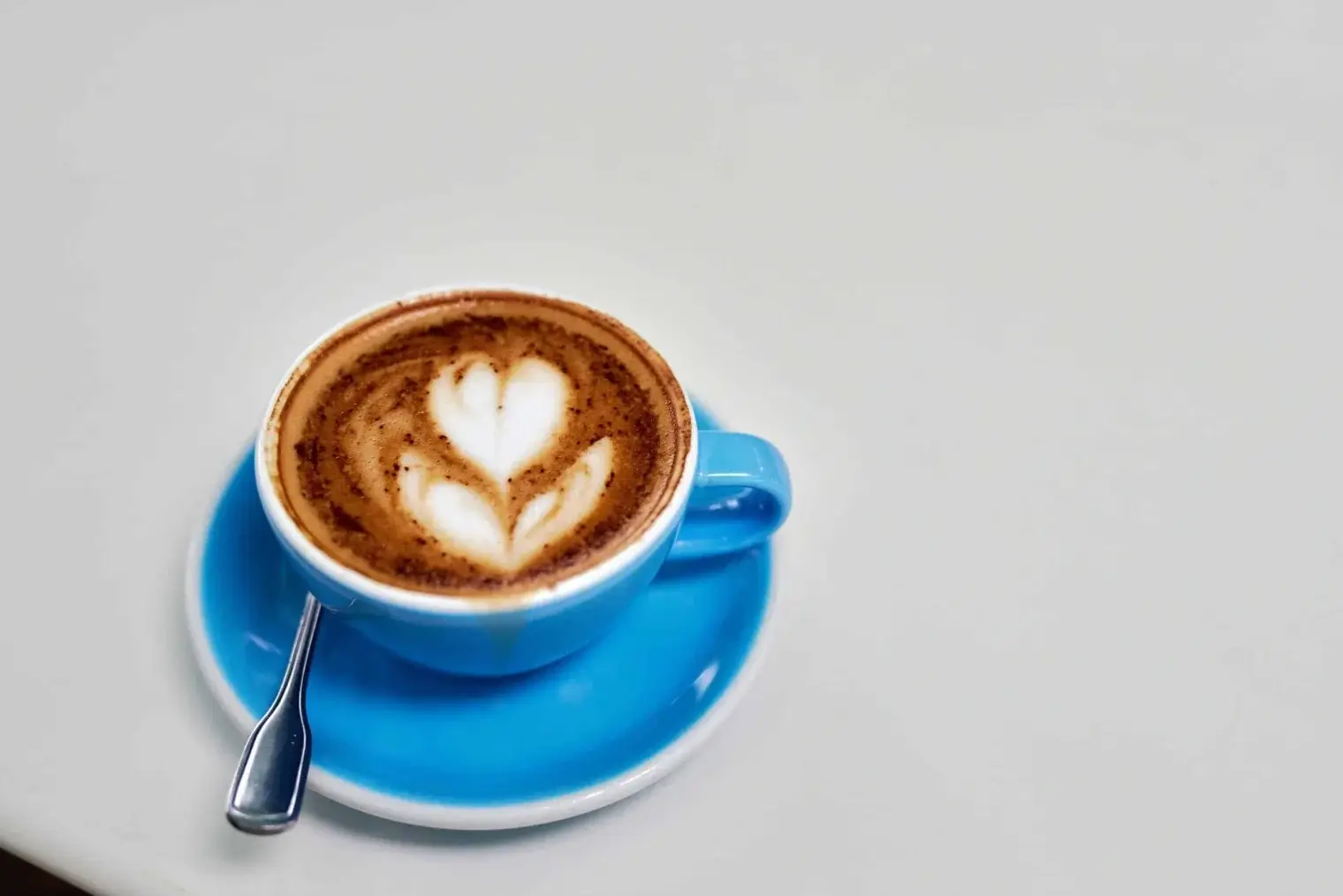 plp savannah lifestyle 028 scaled 1