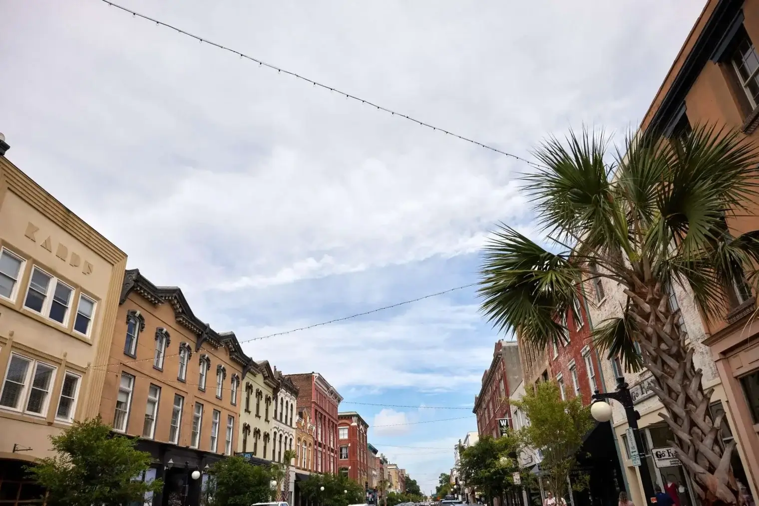 plp savannah lifestyle 079 scaled 1