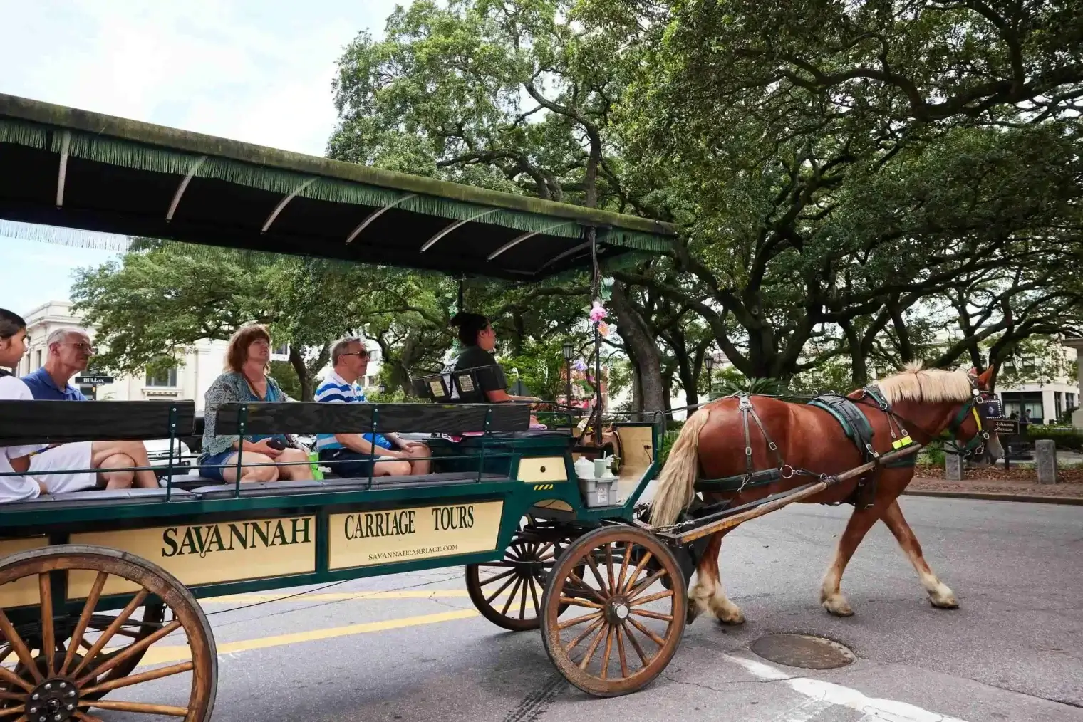 plp savannah lifestyle 085 scaled 1