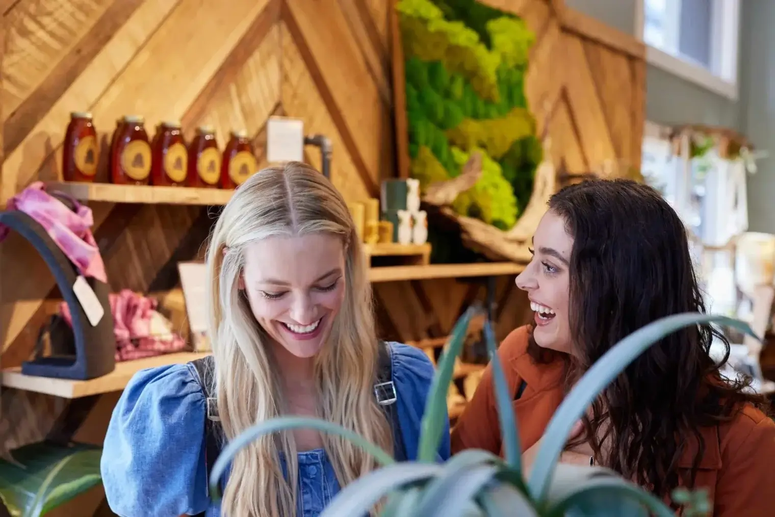 plp savannah lifestyle 103 scaled 1