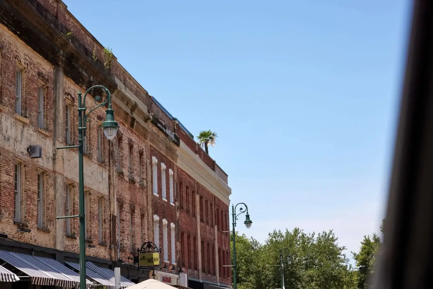 plp savannah lifestyle 171 scaled 1