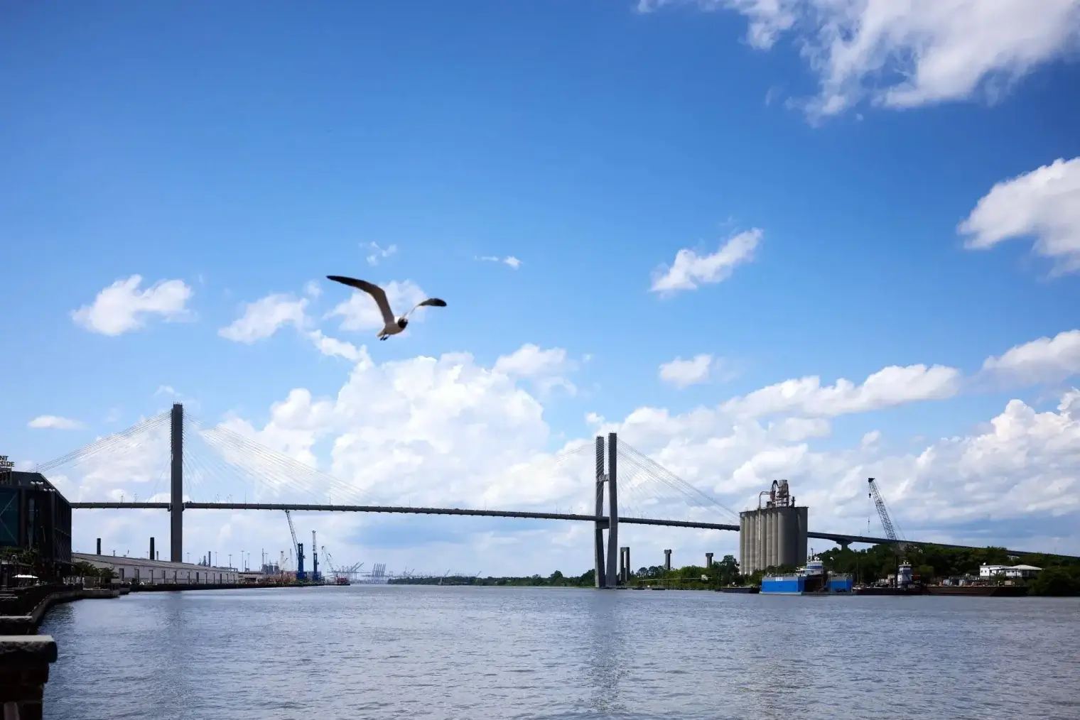 plp savannah lifestyle 182 scaled 1