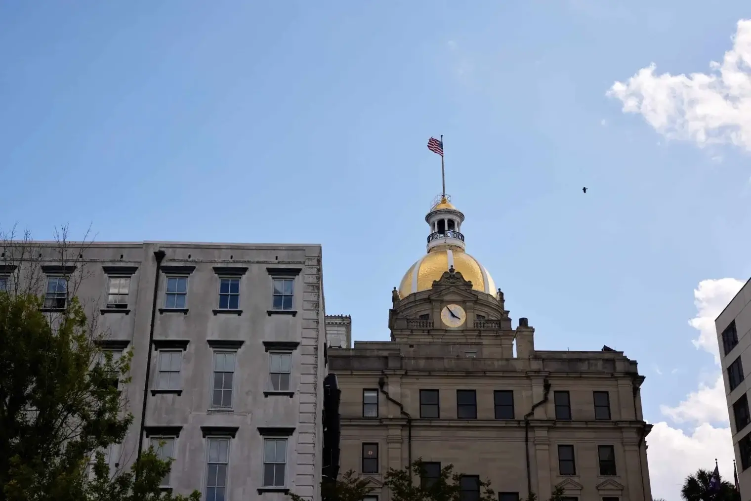 plp savannah lifestyle 233 scaled 1