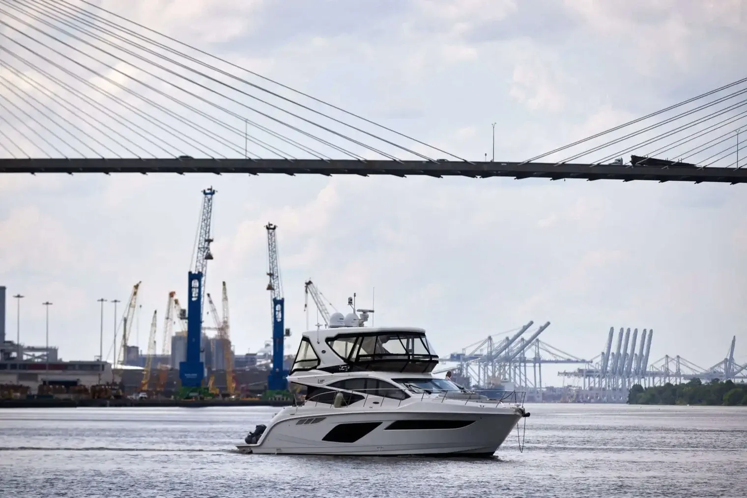 plp savannah lifestyle 236 scaled 1