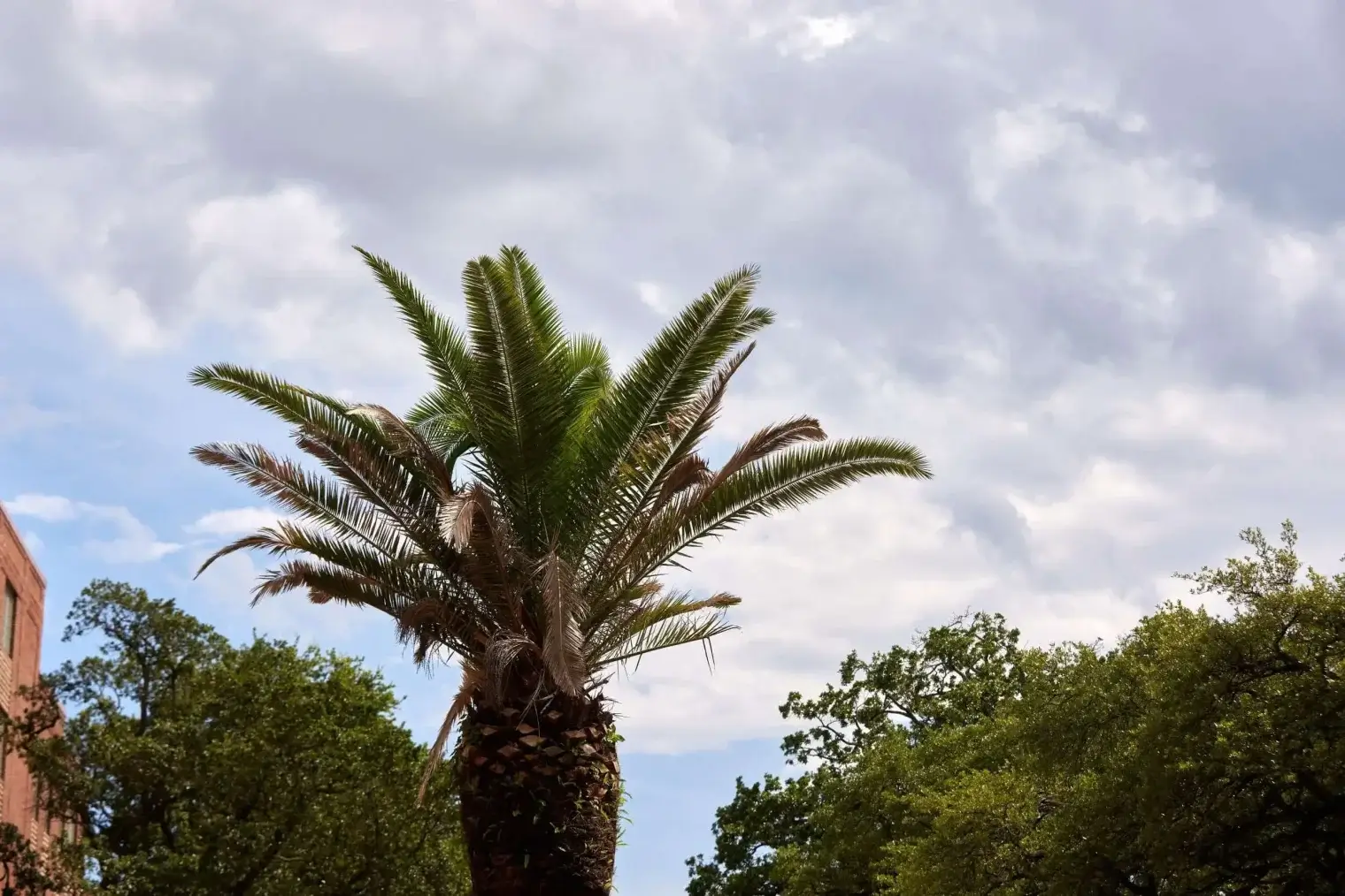 plp savannah lifestyle 242 scaled 1