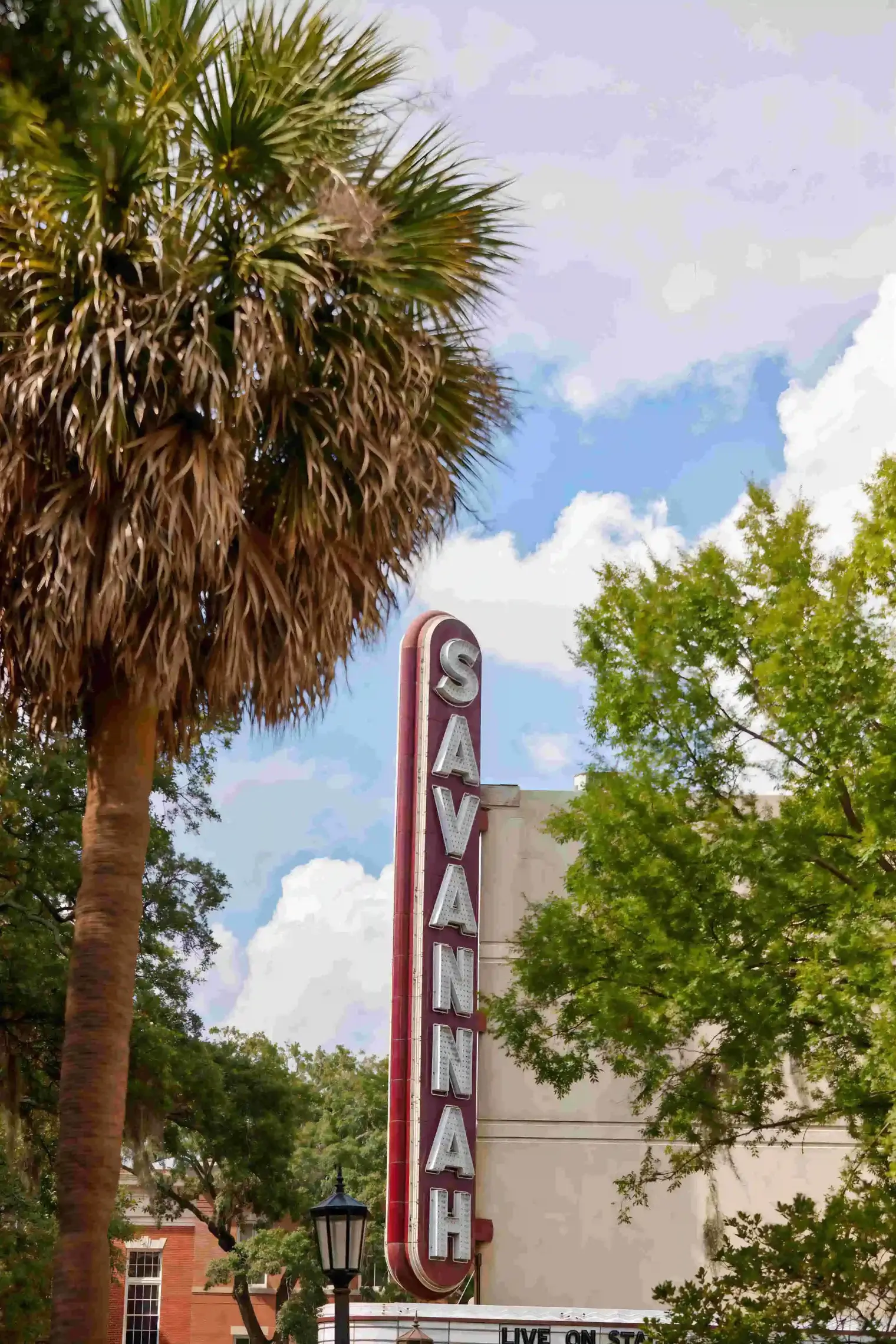 plp savannah lifestyle 244 scaled le upscale strong light ai 40 color enhance 30