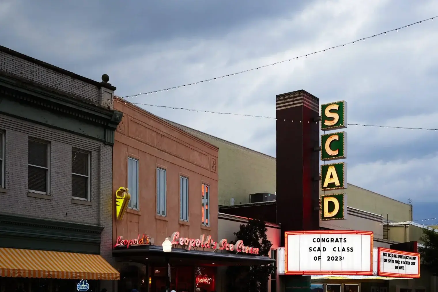 plp savannah lifestyle 281 scaled 1