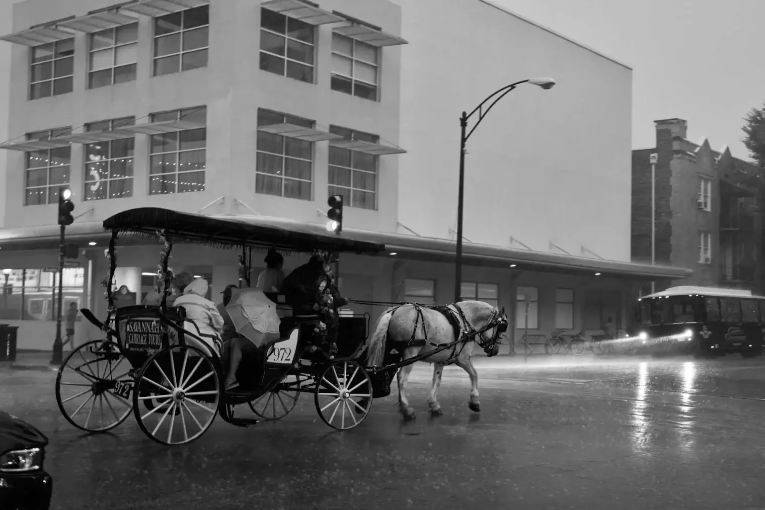 plp savannah lifestyle 285 scaled 1