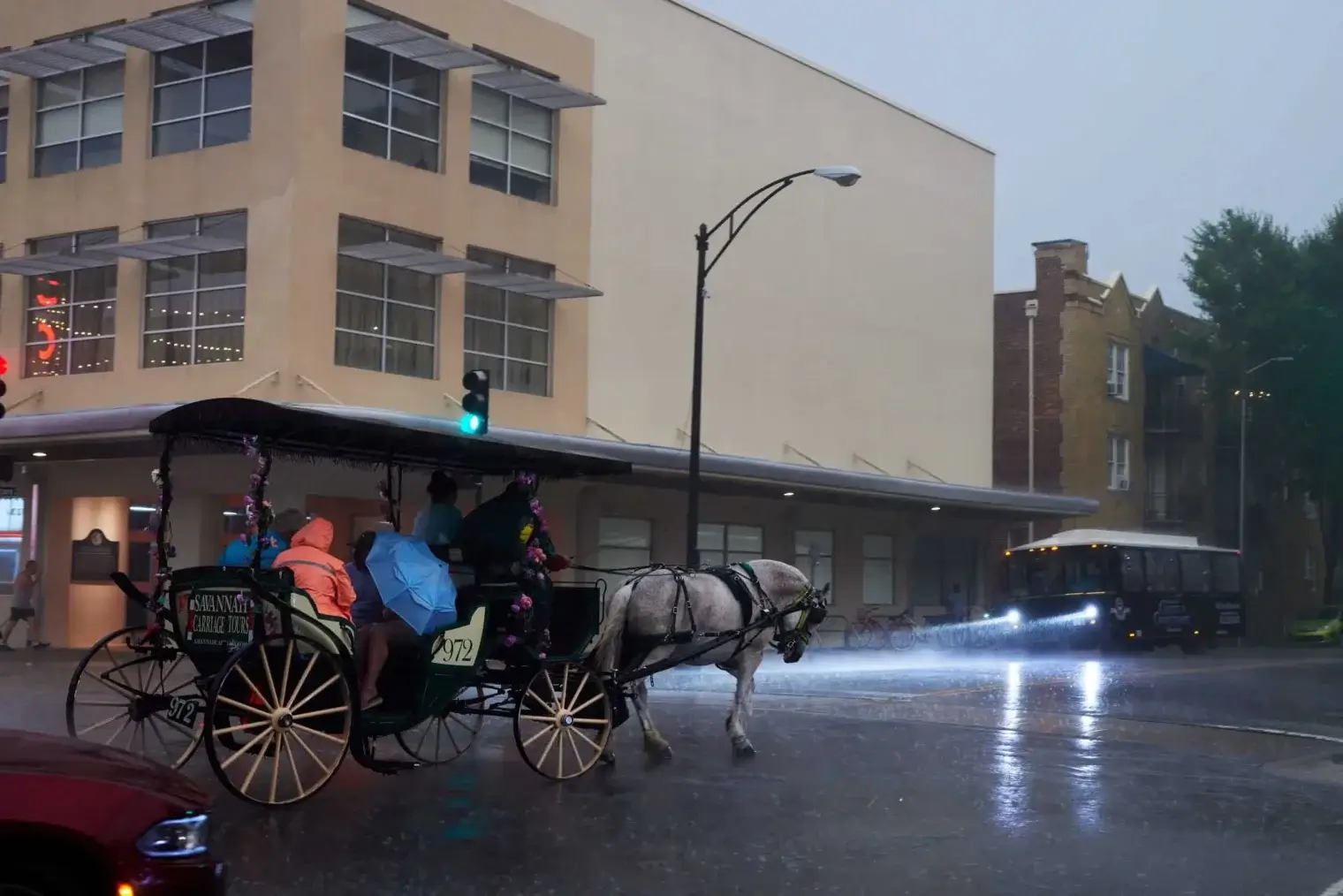 plp savannah lifestyle 286 scaled 1