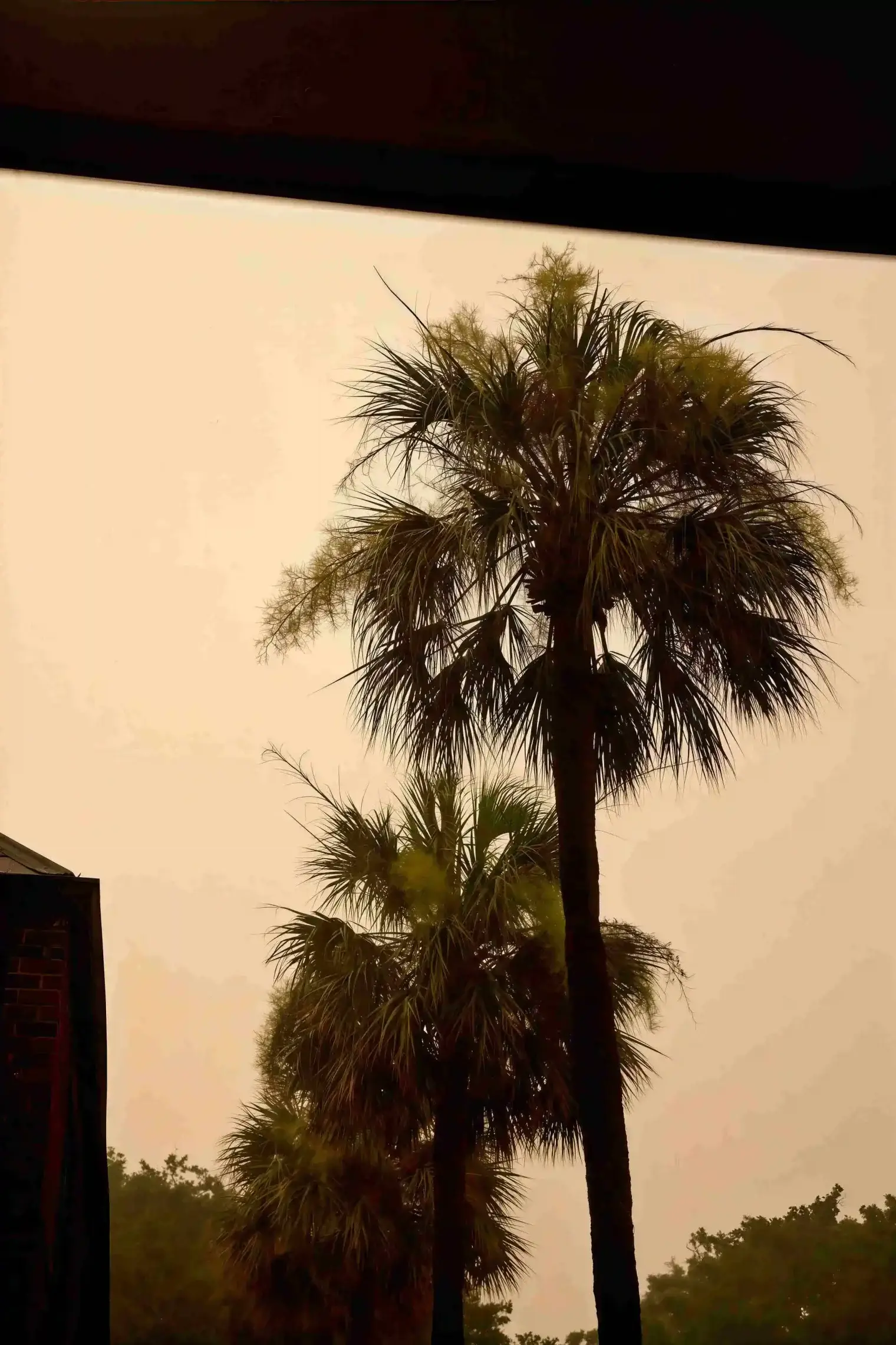 plp savannah lifestyle 289 scaled le upscale strong light ai 40 color enhance 30