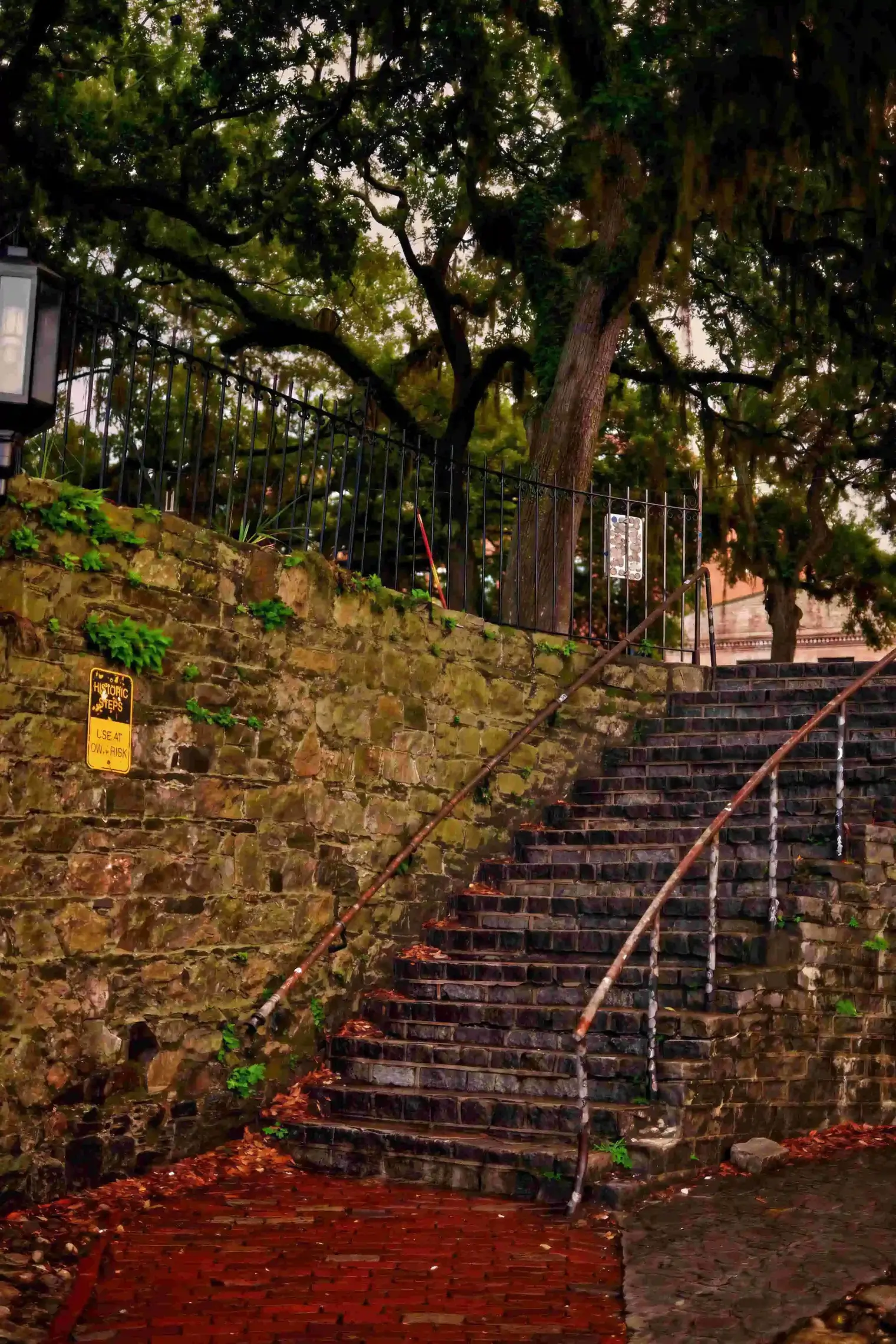 plp savannah lifestyle 292 scaled le upscale strong light ai 40 color enhance 30