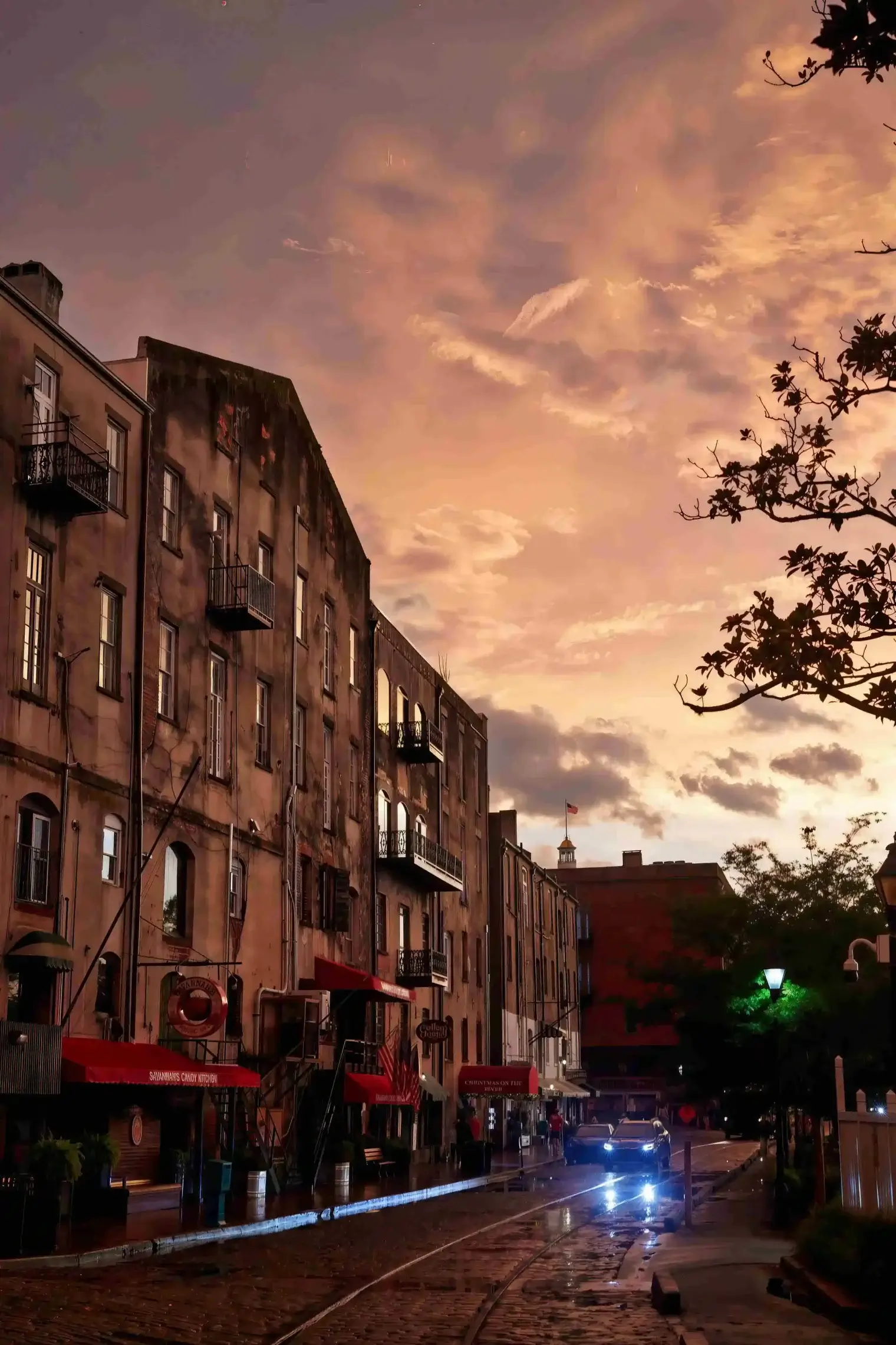 plp savannah lifestyle 293 scaled le upscale strong light ai 40 color enhance 30