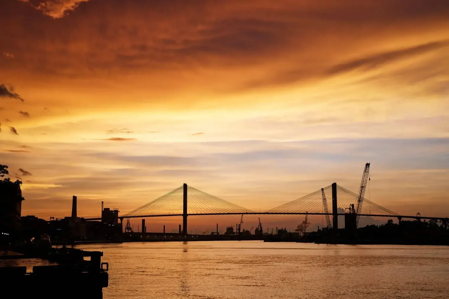 plp savannah lifestyle 296 scaled 1